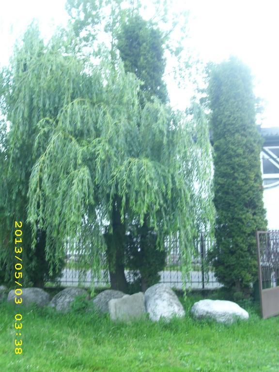 Pensiunea Belvedere Bran  Rum bild